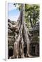 Siem Reap, Cambodia. Giant trees and roots overgrow the ancient ruins and towers of Ta Prohm Temple-Miva Stock-Framed Photographic Print