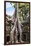 Siem Reap, Cambodia. Giant trees and roots overgrow the ancient ruins and towers of Ta Prohm Temple-Miva Stock-Framed Photographic Print