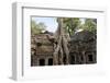 Siem Reap, Cambodia. Giant trees and roots overgrow the ancient ruins and towers of Ta Prohm Temple-Miva Stock-Framed Photographic Print