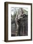 Siem Reap, Cambodia. Giant trees and roots overgrow the ancient ruins of the Bayon Temple in Preah -Miva Stock-Framed Photographic Print