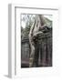 Siem Reap, Cambodia. Giant trees and roots overgrow the ancient ruins of the Bayon Temple in Preah -Miva Stock-Framed Photographic Print