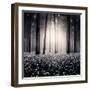 Siempre-Luis Beltran-Framed Premium Photographic Print