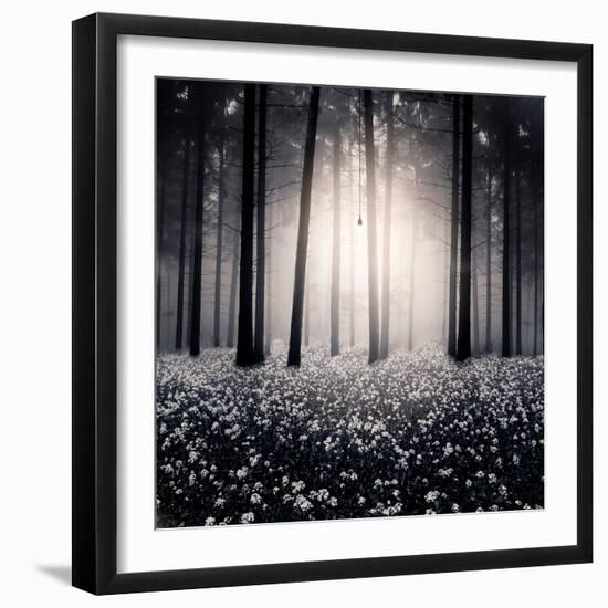 Siempre-Luis Beltran-Framed Premium Photographic Print