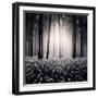 Siempre-Luis Beltran-Framed Premium Photographic Print