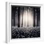 Siempre-Luis Beltran-Framed Premium Photographic Print