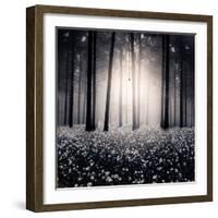 Siempre-Luis Beltran-Framed Photographic Print