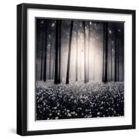 Siempre-Luis Beltran-Framed Photographic Print