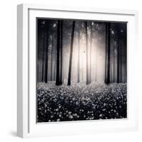 Siempre-Luis Beltran-Framed Photographic Print