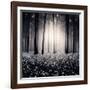 Siempre-Luis Beltran-Framed Photographic Print