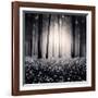 Siempre-Luis Beltran-Framed Photographic Print