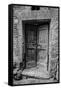 Siena Door-Moises Levy-Framed Stretched Canvas