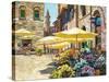Siena Flower Market-Howard Behrens-Stretched Canvas