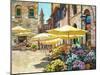 Siena Flower Market-Howard Behrens-Mounted Art Print