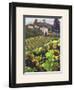 Siena Harvest-Clif Hadfield-Framed Photographic Print