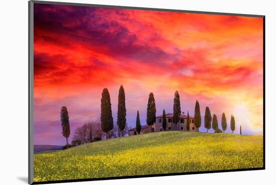 Siena lands-Marco Carmassi-Mounted Photographic Print
