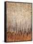 Sienna Birches I-Tim OToole-Framed Stretched Canvas