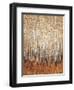 Sienna Birches I-Tim OToole-Framed Art Print