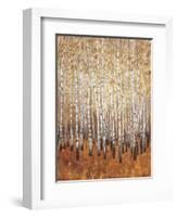 Sienna Birches I-Tim OToole-Framed Art Print