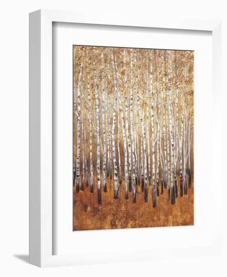 Sienna Birches I-Tim OToole-Framed Art Print