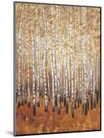 Sienna Birches I-Tim OToole-Mounted Art Print