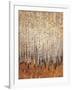 Sienna Birches I-Tim OToole-Framed Art Print