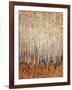 Sienna Birches I-Tim OToole-Framed Art Print