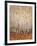 Sienna Birches I-Tim OToole-Framed Art Print