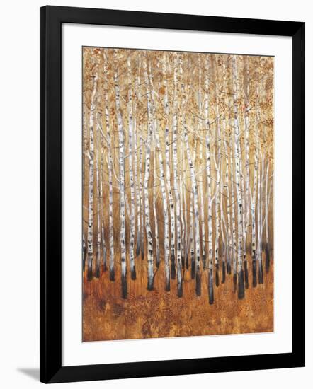 Sienna Birches I-Tim OToole-Framed Art Print