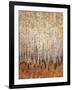 Sienna Birches I-Tim OToole-Framed Art Print