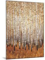 Sienna Birches I-Tim OToole-Mounted Art Print