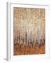 Sienna Birches I-Tim OToole-Framed Art Print