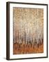 Sienna Birches I-Tim OToole-Framed Art Print