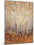 Sienna Birches I-Tim OToole-Mounted Art Print