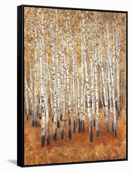 Sienna Birches II-Tim OToole-Framed Stretched Canvas