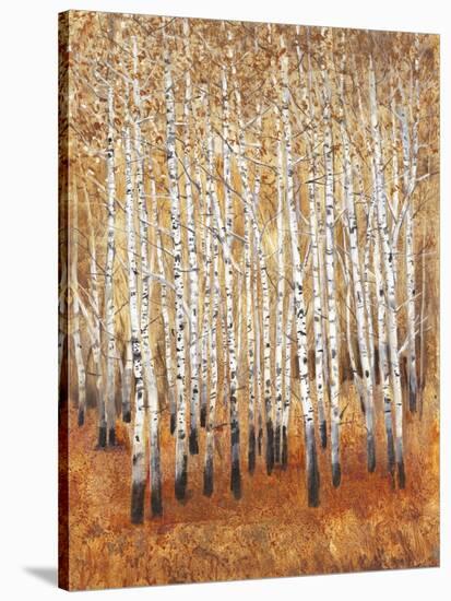 Sienna Birches II-Tim OToole-Stretched Canvas