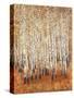 Sienna Birches II-Tim OToole-Stretched Canvas