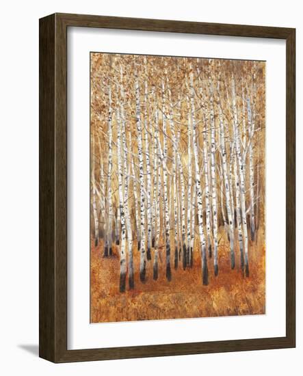 Sienna Birches II-Tim OToole-Framed Art Print