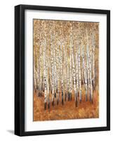 Sienna Birches II-Tim OToole-Framed Art Print