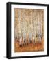 Sienna Birches II-Tim OToole-Framed Art Print