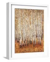 Sienna Birches II-Tim OToole-Framed Art Print