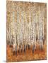 Sienna Birches II-Tim OToole-Mounted Art Print