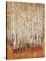 Sienna Birches II-Tim OToole-Stretched Canvas