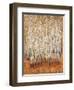 Sienna Birches II-Tim OToole-Framed Art Print