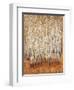 Sienna Birches II-Tim OToole-Framed Art Print