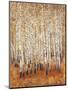 Sienna Birches II-Tim OToole-Mounted Art Print