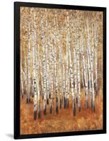 Sienna Birches II-Tim OToole-Framed Art Print