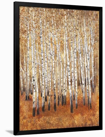 Sienna Birches II-Tim OToole-Framed Art Print