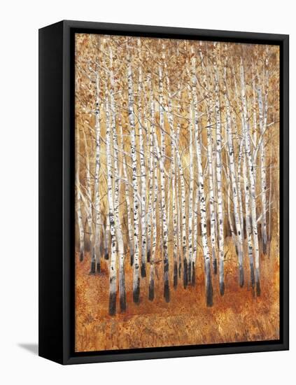 Sienna Birches II-Tim OToole-Framed Stretched Canvas
