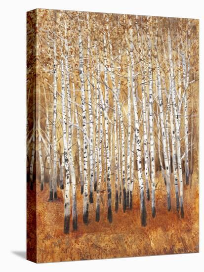 Sienna Birches II-Tim OToole-Stretched Canvas