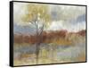 Sienna Field I-Jennifer Goldberger-Framed Stretched Canvas